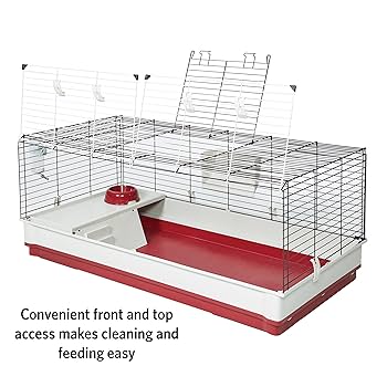 Amazon.com: Midwest Homes for Pets Deluxe Rabbit & Guinea